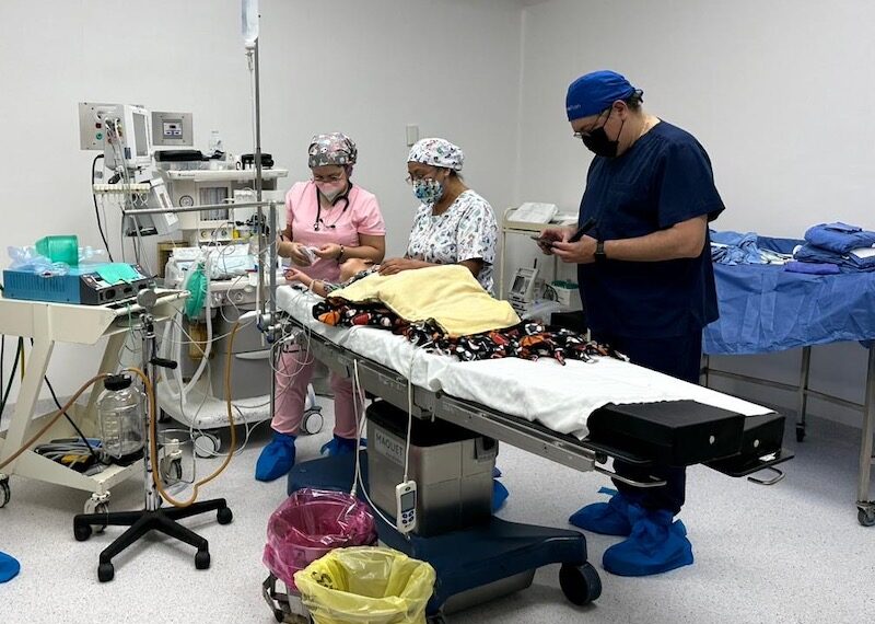 Coordina SSA Programa de Atención Gratuita a Niñas y Niños con Labio y Paladar Hendido
