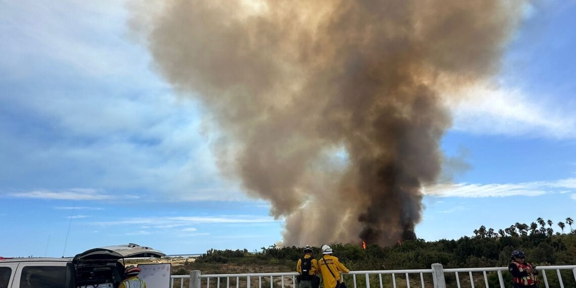 Incendio en el Estero, está Bajo Control