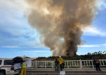 Incendio en el Estero, está Bajo Control