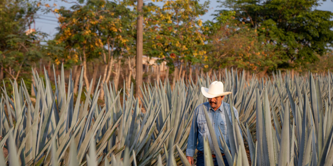 Alcalde de municipio de Jalisco, anuncia su reelección y lo… asesinan a balazos