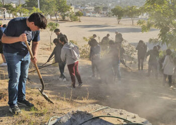 Desarrolla Jurisdicción Sanitaria Los cabos Jornadas de Descacharrización para Prevenir el Dengue