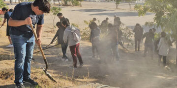 Desarrolla Jurisdicción Sanitaria Los cabos Jornadas de Descacharrización para Prevenir el Dengue