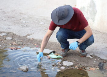 Continúan Muestreos en Seguimiento  Epidemiológico de Melioidosis