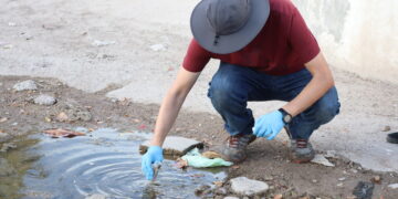 Continúan Muestreos en Seguimiento  Epidemiológico de Melioidosis