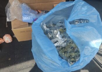 Obtiene FGR Sentencia de más de 9 años de prisión contra 2 personas por portación de armas de fuego y contra la salud