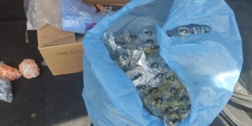 Obtiene FGR Sentencia de más de 9 años de prisión contra 2 personas por portación de armas de fuego y contra la salud