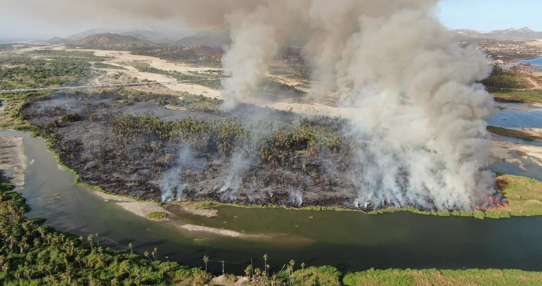 Autoridades confirman que no existe ninguna relación del incendio del estero con la construcción de un desarrollo