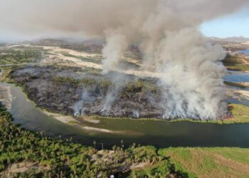 Autoridades confirman que no existe ninguna relación del incendio del estero con la construcción de un desarrollo