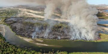 Autoridades confirman que no existe ninguna relación del incendio del estero con la construcción de un desarrollo