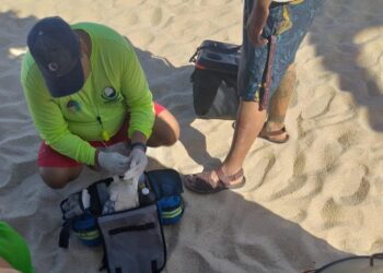 Han atendido a bañistas que fueron  “picados” por “aguamala” o Medusas
