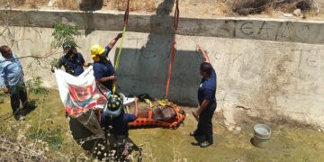 Bomberos Realizan Heroico Rescate  de Caballo que Estaba Atrapado en una Zanja