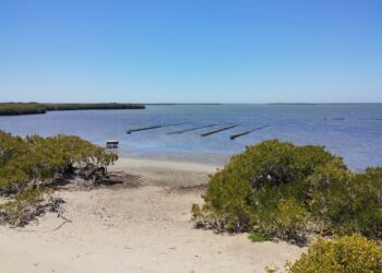 Recorre SEPADA y CESA Campos Acuícolas del Municipio de Comondú