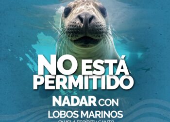La Paz: Invita turismo municipal a respetar restricciones en Isla Espíritu Santo