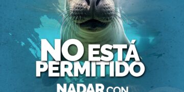 La Paz: Invita turismo municipal a respetar restricciones en Isla Espíritu Santo