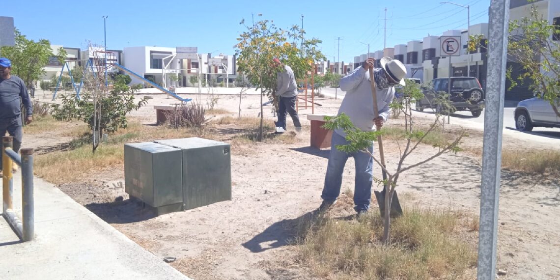 La Paz: Realiza Servicios Públicos la limpieza de 10 parques