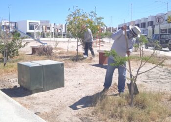 La Paz: Realiza Servicios Públicos la limpieza de 10 parques