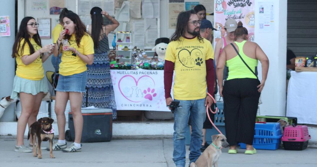 Celebran con éxito la Segunda Feria de Adopciones en el Ayuntamiento de La Paz