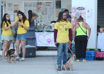 Celebran con éxito la Segunda Feria de Adopciones en el Ayuntamiento de La Paz