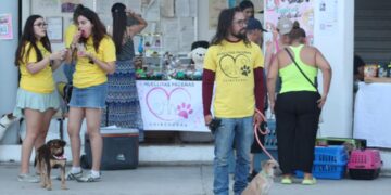 Celebran con éxito la Segunda Feria de Adopciones en el Ayuntamiento de La Paz