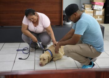 Adoptan al “Güero”, perro que vivía afuera de un OXXO, en La Paz