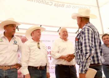 Entrega VMCC más de 4 MDP en Sementales a Productores de BCS