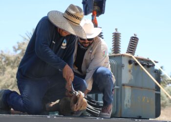 Para prevenir derrame de aguas negras en La Ribera, personal de Agua Potable de Los Cabos realiza sustitución de bomba en el cárcamo #2