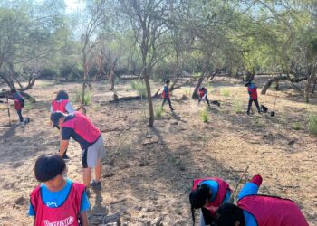 Iniciativa privada y ciudadanía continúan sumándose a las acciones de reforestación en el Estero Josefino