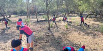 Iniciativa privada y ciudadanía continúan sumándose a las acciones de reforestación en el Estero Josefino