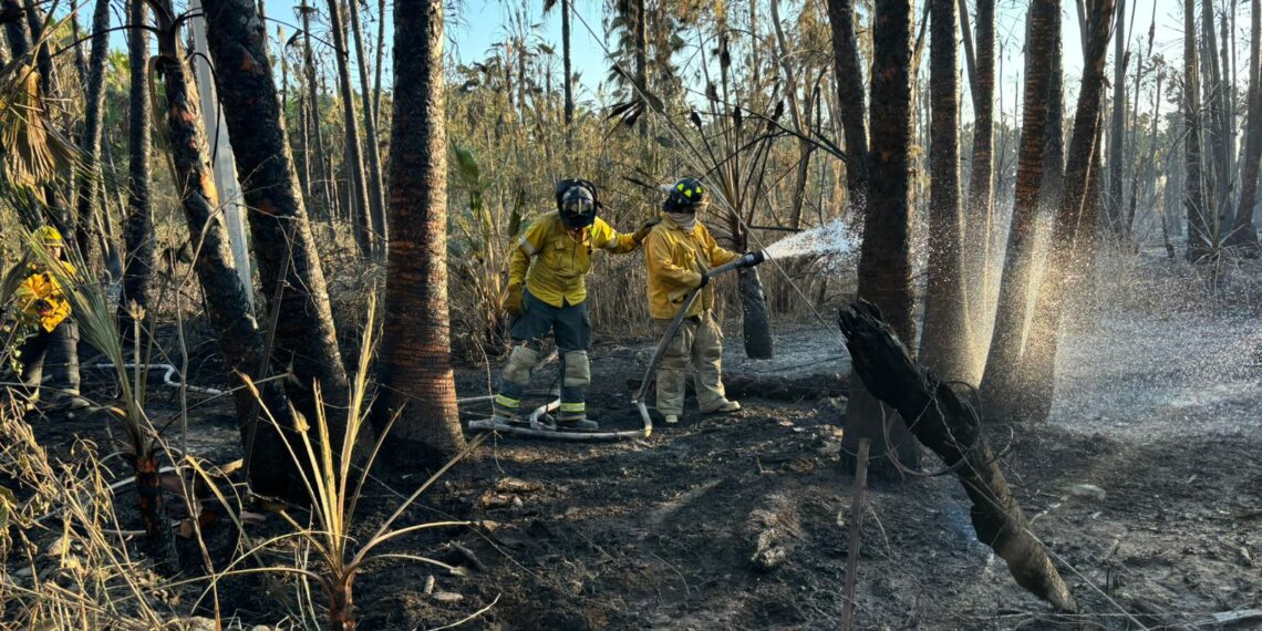 Incendios de Todos Santos fueron sofocados en su totalidad