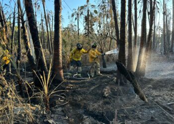 Incendios de Todos Santos fueron sofocados en su totalidad
