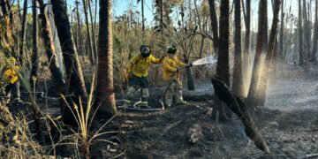 Incendios de Todos Santos fueron sofocados en su totalidad