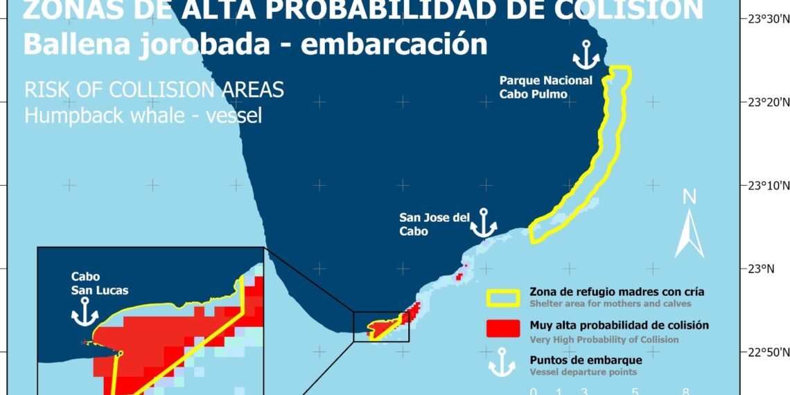 Reunión Para la Prevención de Colisiones Entre Embarcaciones y Ballenas en Cabo San Lucas