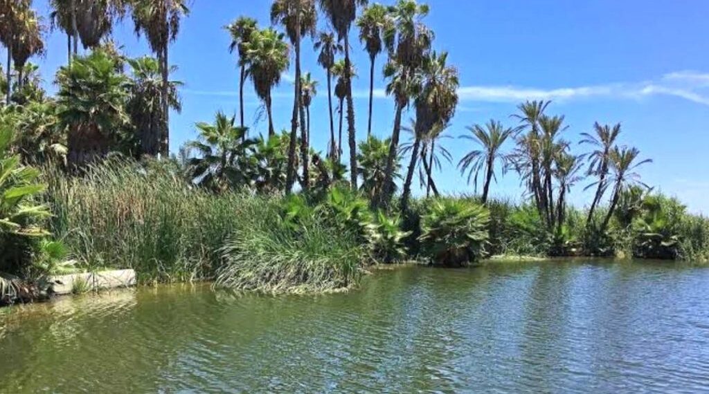 Inician los primeros pasos de colaboración para la restauración y la creación de un parque ecológico en el Estero de San José del Cabo