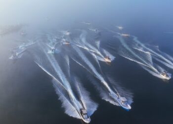 Destaca el Municipio de Los Cabos en Permisos de Pesca Deportiva