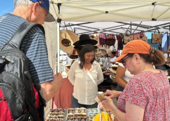 Arriba Crucero “Koningsdam”, Estima Derrama Económica Superior a los 4 MDP