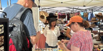 Arriba Crucero “Koningsdam”, Estima Derrama Económica Superior a los 4 MDP