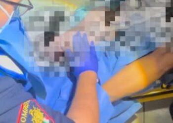 Bomberos, Ayudan a la “Cigüeña”: Atienden  nacimiento de bebé en una casa de CSL