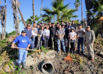 Consejo Asesor del Estero de San José del Cabo y Ayuntamiento de Los Cabos se unen en el combate el lirio acuático