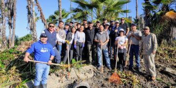 Consejo Asesor del Estero de San José del Cabo y Ayuntamiento de Los Cabos se unen en el combate el lirio acuático