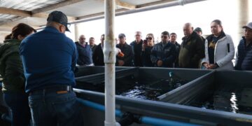 Gobierno del Estado, CONAPESCA,  y Productores Suman Esfuerzos para Mejorar Aprovechamiento de Abulón en la Pacífico Norte