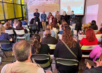 Arranca SEDIF taller para erradicar las violencias en el municipio de Los Cabos