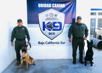Suman a la SSPE, dos Caninos para Fortalecer Operativos de Seguridad