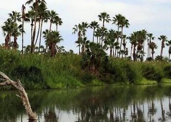 Consolidado un plan estratégico para la sostenibilidad del Estero de San José