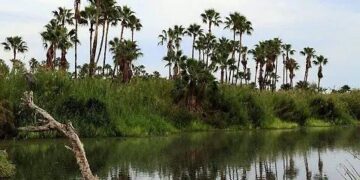 Consolidado un plan estratégico para la sostenibilidad del Estero de San José