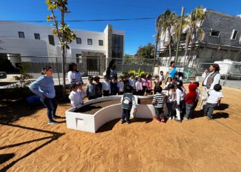 Huertos Comunitarios: Sembrando un Futuro Sostenible en La Playa