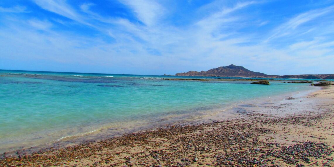 Suspende Semarnat proyectos La Abundancia y Baja Bay Club  en área de influencia del Parque Nacional Cabo Pulmo