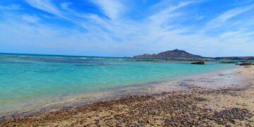 Suspende Semarnat proyectos La Abundancia y Baja Bay Club  en área de influencia del Parque Nacional Cabo Pulmo