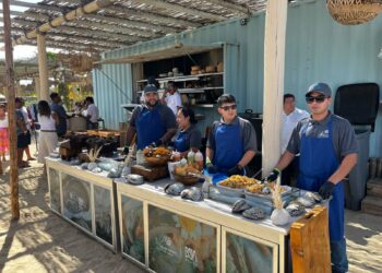 Celebran el Segundo Festival del Ostión en Veleros Beach Club: fusión de sabor y sustentabilidad