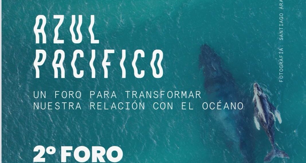 Hotel El Ganzo presenta la segunda edición de Azul Pacífico, un foro para transformar nuestra relación con el océano