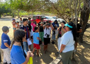 La Playa Centro Comunitario lanza guía infantil de aves en el Estero de San José del Cabo